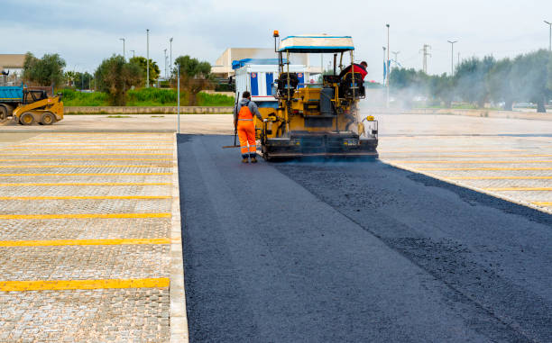 Best Local Driveway Pavers  in Trowbridge Park, MI